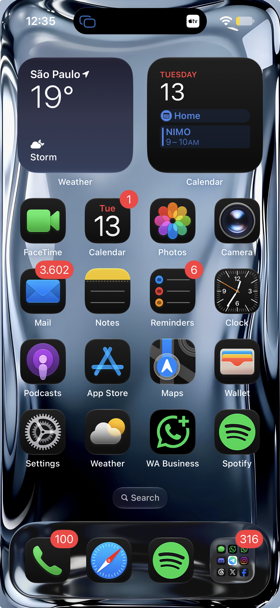 iPhone Home Screen shown at full size